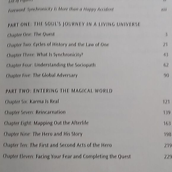 The Synchronicity Key hardcover book David Wilcox - Picture 7 of 12